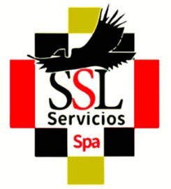 Logo Servicios Spa